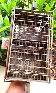 Tostadora plana eléctrica Sunbeam modelo B - Imagen 1 de 5