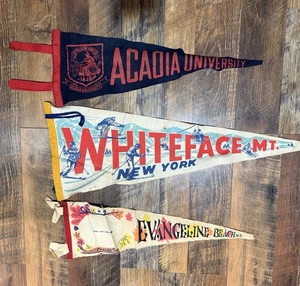 Vintage Souvenir Wimpel 3 Stück Acadia Univ, Whiteface Ny, Evangeline Bch - Bild 1 von 7