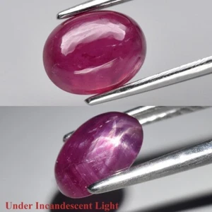 π 1.91ct Oval Cabochon Purplish Red 6 Ray Star Ruby - Heated Glass Filling, Gem - Picture 1 of 12