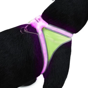 Noxgear Lighthound 360 Visibility Multicolor Reflective LED Dog Harness - Picture 1 of 5