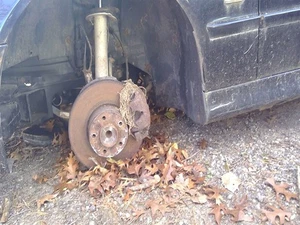 Brazo de control inferior izquierdo conductor delantero trasero compatible con 97-00 BMW 528i 3760406 - Imagen 1 de 2