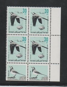 ISRAEL 30 NIS Songbirds Tab Corner Block Stamp Definitive Bird White Wagtail NH - Picture 1 of 2