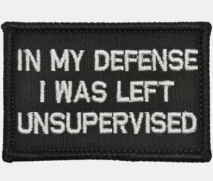 In My Defense I Was Left Unsupervised 2" x 3" Embroidered Patch - Picture 1 of 1