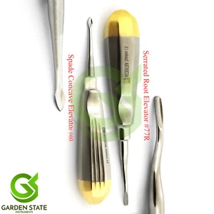 Dental Extraction Root Elevator #77R Tooth Spade Concave #60 Elevators Gold/H - Picture 1 of 3