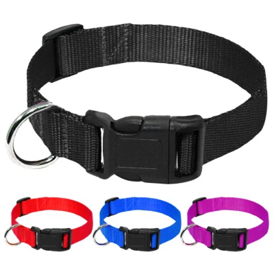 10pcs/lot Nylon Dog Collar Wholesale Cheap Pet Puppy Collars Adjustable Red Blue