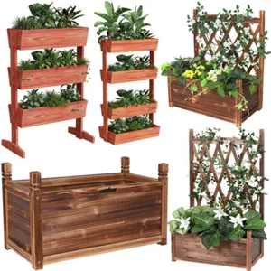 Multi-Style Vegetables Herbs Raised Garden Bed Wood Veg Planter Box with Lattice - Picture 1 of 60