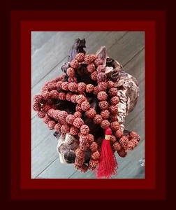 HUGE 46" RUDRAKSHA RUDRAKSH JAPA MALA ROSARY 108+1 11MM MEDITATION PRAYER BEADS - Picture 1 of 4