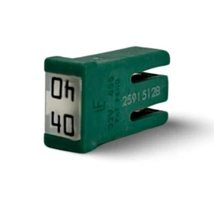 Polaris RZR Pro XP Turbo R (2020-2024) 40 Amp Green Cartridge Fuse 4018414-40 - Bild 1 von 8