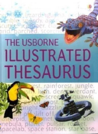 Illustrated Thesaurus (Usborne Illustrated Dictionaries) - Image 1 of 1