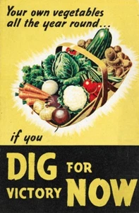 NON-GMO Vegetable Seeds 21 Varieties Garden Emergency Survival Heirloom Seed Kit - Picture 1 of 24