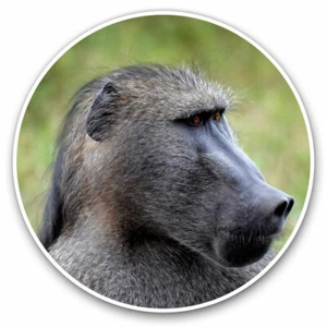 2 x Vinyl Stickers 25cm - Wild Baboon Monkey Cool Gift #16478 - Bild 1 von 9