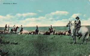 COWBOY WILD WEST POSTCARD THROWING A STEER c1910 VINTAGE POSTCARD 080725 U - Picture 1 of 2