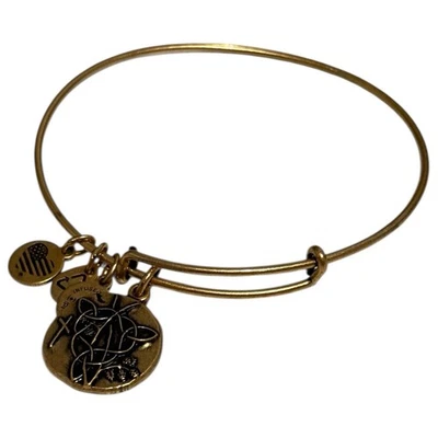 Alex and Ani Vine Charm Expandable Bangle Rafaelian Gold Finish Bracelet - Image 1 of 4
