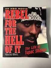 Rebel for the Hell Of It by Armond White Paperback Nonfiction Music Biography