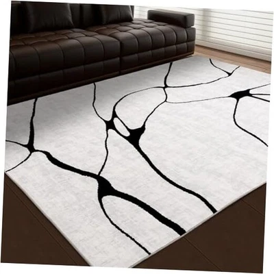  Alfombra Abstracta 6'x9' Blanco y Negro - Alfombra Lavable para Salón  Foto 1 de 4
