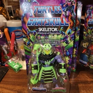 NEW 2024 Mattel Turtles of Grayskull Origins Skeletor Action Figure Unpunched - Afbeelding 1 van 5