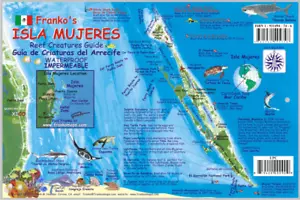 Mapa de Isla Mujeres México y guía de criaturas de arrecife impermeable tarjeta de peces mapas de Franko - Imagen 1 de 2