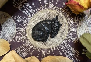 Hueso de bovino negro gato y cráneo tallado, talla de hueso, de origen ético - Imagen 1 de 9