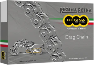 REGINA 520 DR Extra - Drag Racing Chain - 160 Links 135DR/1004 - Picture 1 of 2