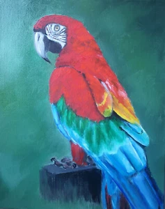 Ara parrot Original oil painting Bird Wildlife art 100% Handmade 9.4x11.8 inches - Picture 1 of 5