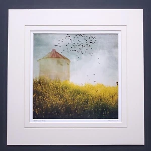 Angie Lambert Foto 12x12" mattiert Bauernhof Silo Vögel Blumen Americana rustikal - Bild 1 von 13