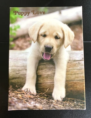 New PAPYRUS 20 NOTE CARDS SET Stationary YELLOW LAB GOLDEN RETRIEVER DOG PUPPY - Image 1 of 4