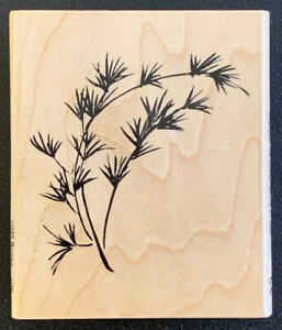 Stampendous Asian Bonsai Sprig Rubber Stamp