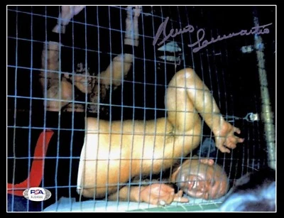 FOTO 8X10 AUTOGRAFIADA A MANO WWE BRUNO SAMMARTINO CON CERTIFICADO DE AUTENTICIDAD PSA 3 RARA Foto 1 de 2