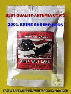 BEST Quality 90% Betta Fish Brine Shrimp Egg Artemia Cysts American Eagle USA