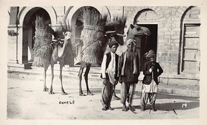 Pakistan - Camels - REAL PHOTO - Publ. unknown - Picture 1 of 2