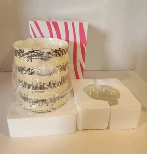 Pink Zebra Simmering Lights Sheet Music Warming Shade Music Notes - Picture 1 of 8