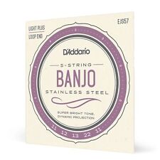 D'Addario EJS57 Custom Medium Stainless Steel 5-String Banjo Strings (11-22 G...