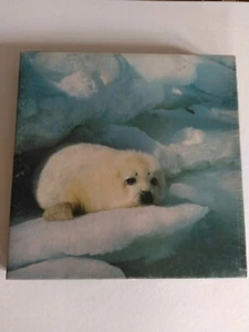 Springbok Vintage Jigsaw Puzzle "Furry" Baby Seal Complete - Picture 1 of 3