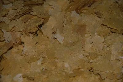 Ken's Ultra Tropical Flake