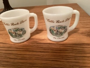 Fire-King Table Rock Dam The Ozarks Lake Missouri 2 tazas imprescindibles - Imagen 1 de 4