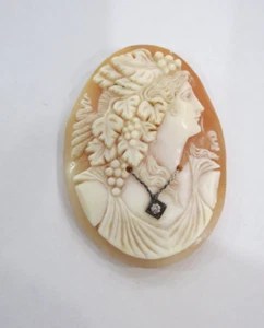 Cameo Shell Flower hair design & Diamond & Chain 1 3/4 by 1 3/8 - Picture 1 of 3