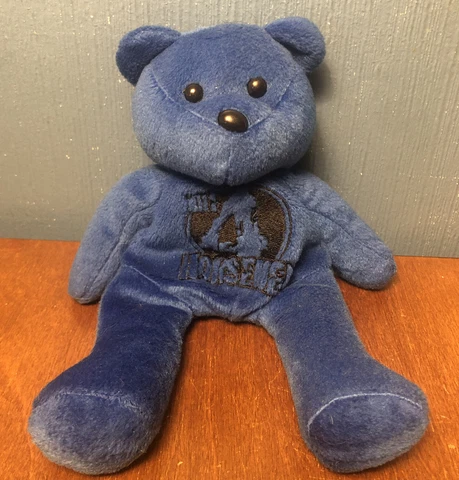 VINTAGE 90s WCW Pro Wrestling Bean Bear Stuffed Animal Plush WWE 4 Horsemen Toy Cover