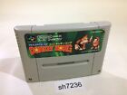 sh7236 Super Donkey Kong Country SNES Super Famicom Japon