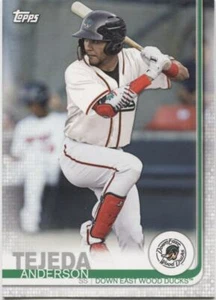 2019 Topps Pro DeBut ANDERSON TEJEDA  Base Single - DOWN EAST WOOD DUCKS - #20 - Picture 1 of 1