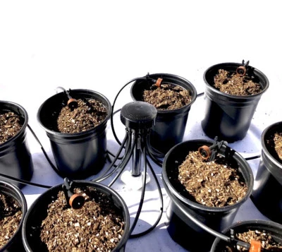 DIG Home PRO Grow Kit Hydroponics Starter Kit w/ Drip Irrigation Tubing Included - Image 1 of 4