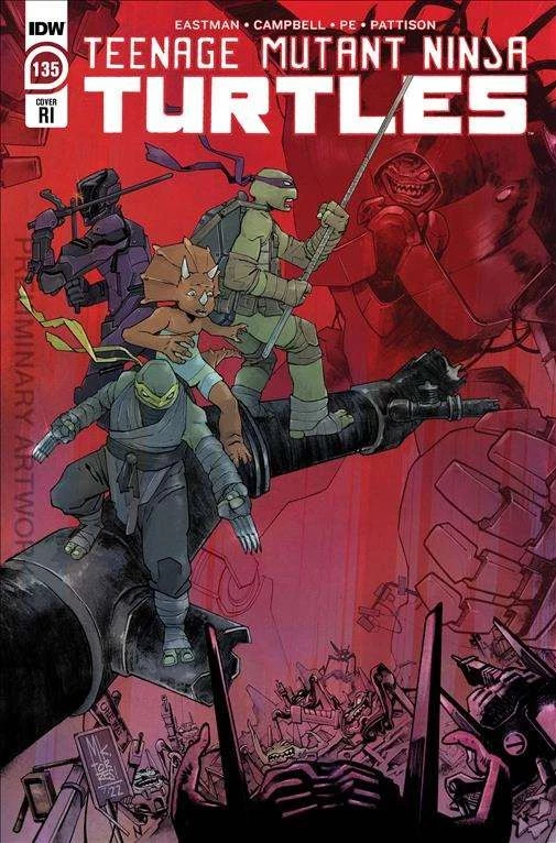 Teenage Mutant Ninja Turtles (5th Series) #135C FN; IDW | RI 1:10 variant - we c - Image 1 of 1
