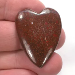 DVH Dinosaur Bone Heart Cabochon Fossil Dino Cab 37x28x5 (4994) - Picture 1 of 3