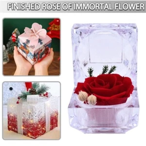 Eternal Rose Flower Preserved Everlasting Rose in Acrylic Box Gift For Women - Picture 1 of 16