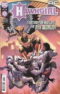 HAWKGIRL #6 CUBIERTA A AMANCAY NAHUELPAN EN MUY BUEN ESTADO/NM DC HOHC 2023 - Imagen 1 de 1