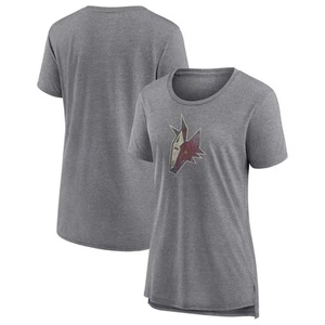Women's Fanatics Heather Gray Arizona Coyotes Special Edition 2.0 Modern T-Shirt - Picture 1 of 3