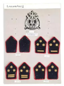 Luxembourg, collection rank badges and cap badges police, tacked on cardboard - Picture 1 of 5