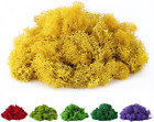 Fake Moss Preserved Reindeer Moss 3.5 OZ for Potted Plants, Arts and Crafts, Ter