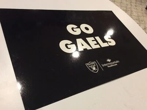 Bishop Gorman BGHS High 2021 State Football Championship Game Rally Sign Raiders - Bild 1 von 2