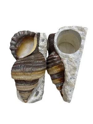 De Colección Jaimy Caracola Shell Trompeta Ménsulas Barra de Cortina Cortina Poste Soportes 8.5x3.75 Foto 1 de 4