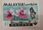Francobollo Post Card Nuovo Malaysia 1965